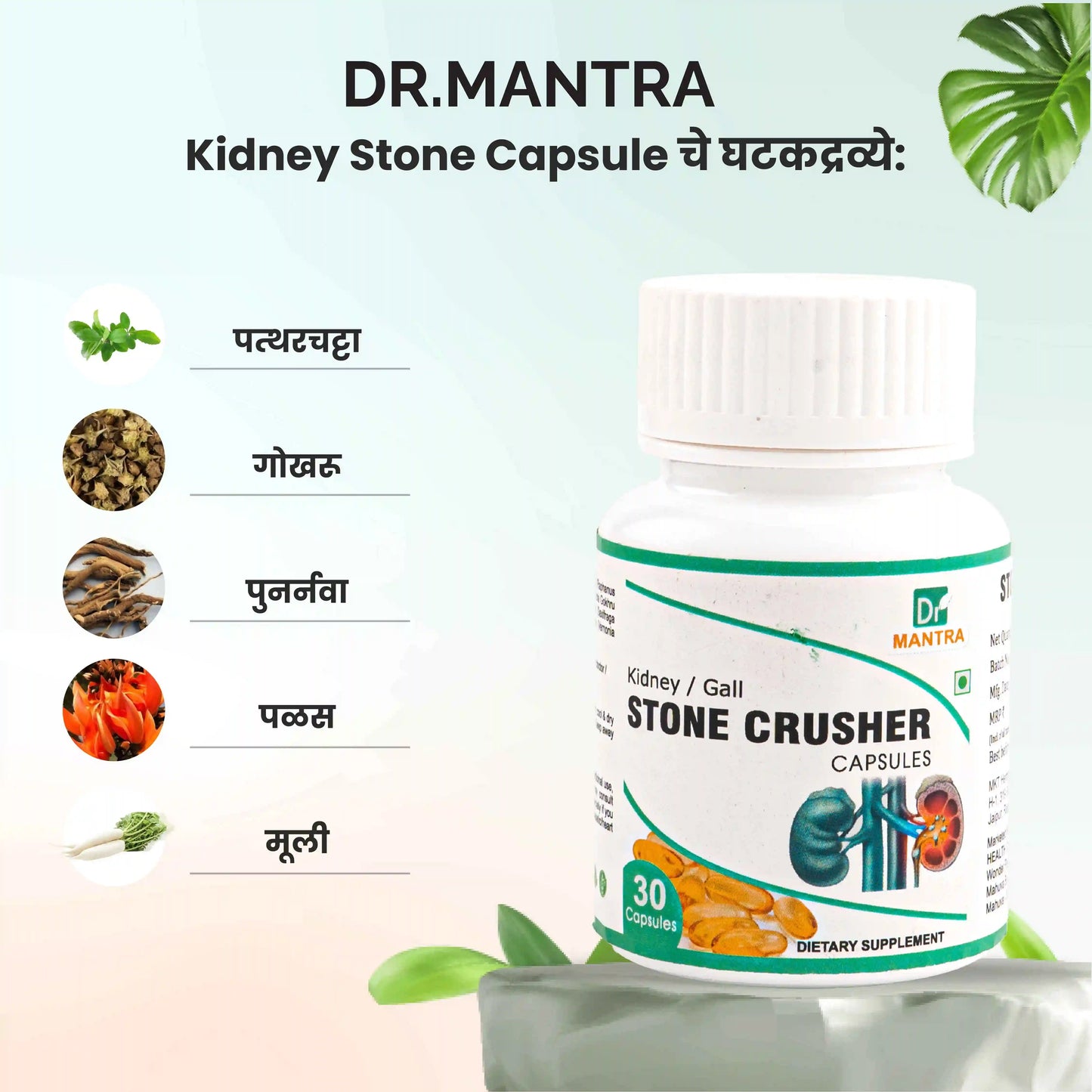 किडनी स्टोन क्रशर ज्यूस (फ्री डायट चार्ट व आयुर्वेदा एक्स्पर्ट कन्सल्टेशन)