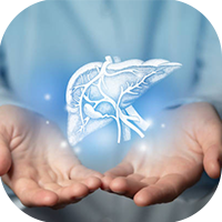 Liver Care