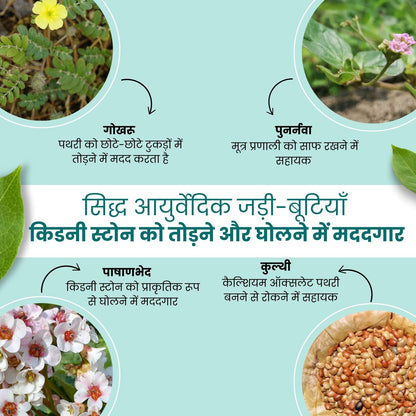 Kidney Stone Crusher Juice (Free Diet Chart & Ayurveda Expert Consultation )