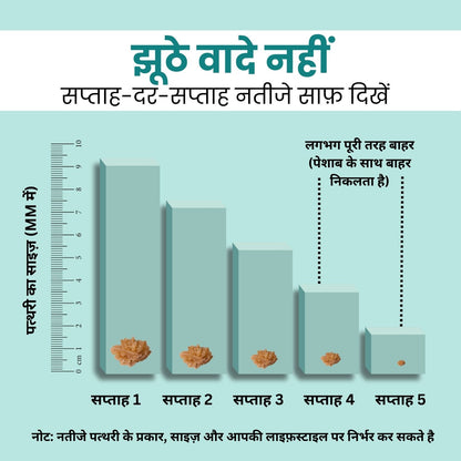 Kidney Stone Crusher Juice (Free Diet Chart & Ayurveda Expert Consultation )