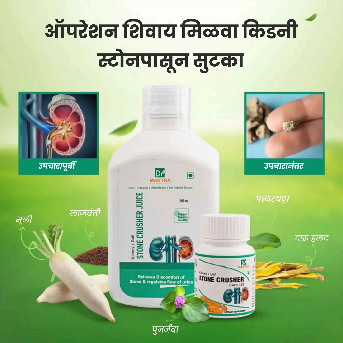 किडनी स्टोन क्रशर ज्यूस (फ्री डायट चार्ट व आयुर्वेदा एक्स्पर्ट कन्सल्टेशन)