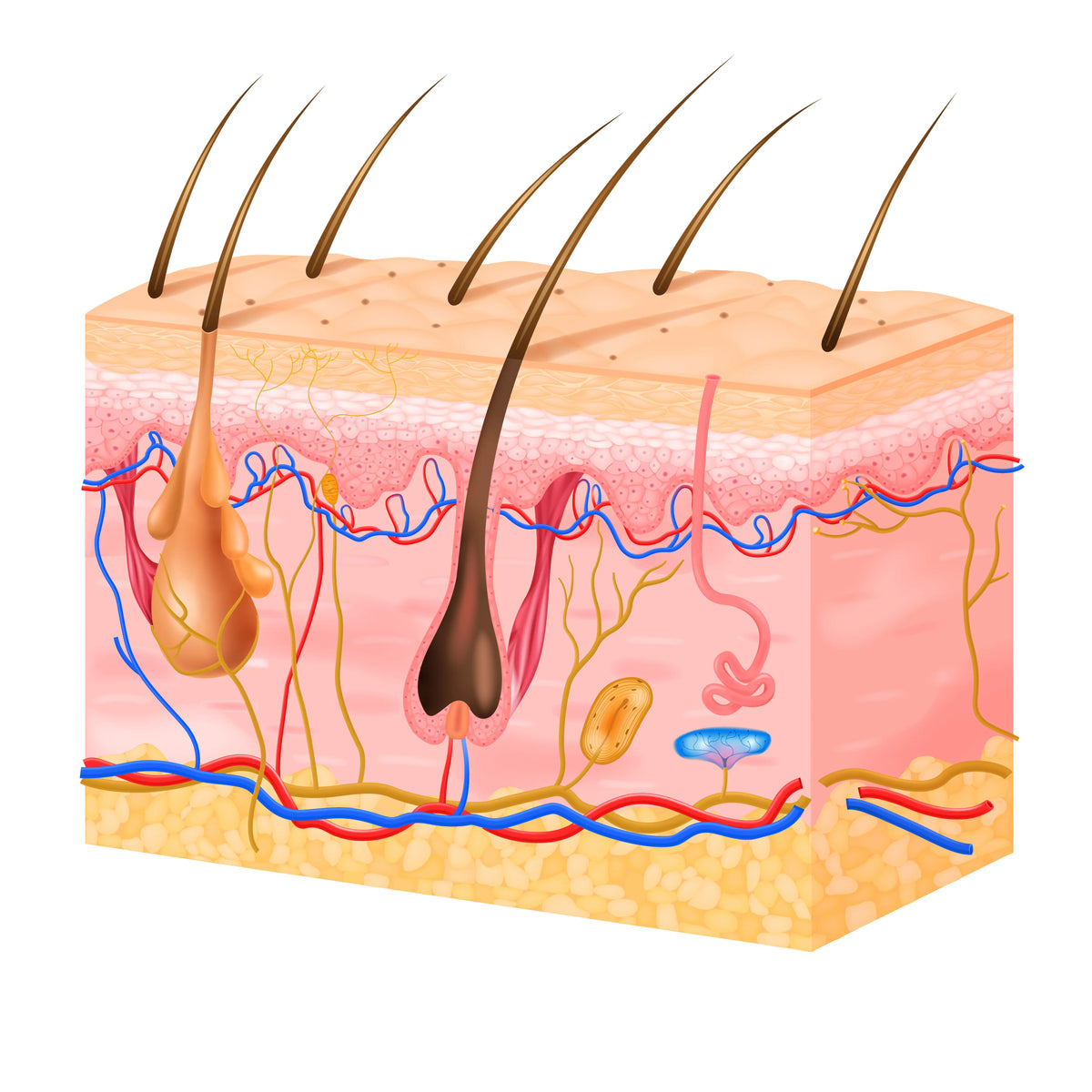 Science Image