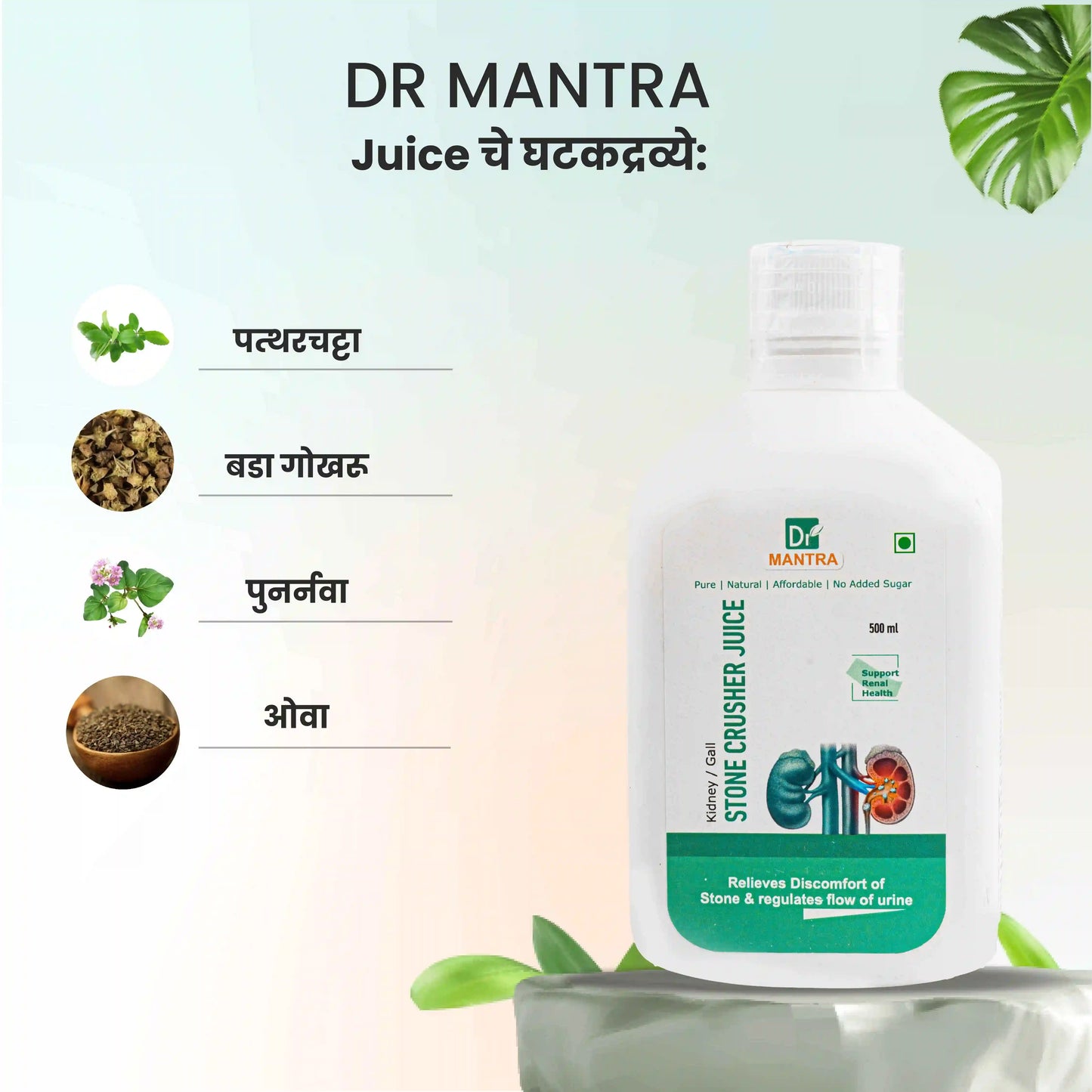 किडनी स्टोन क्रशर ज्यूस (फ्री डायट चार्ट व आयुर्वेदा एक्स्पर्ट कन्सल्टेशन)