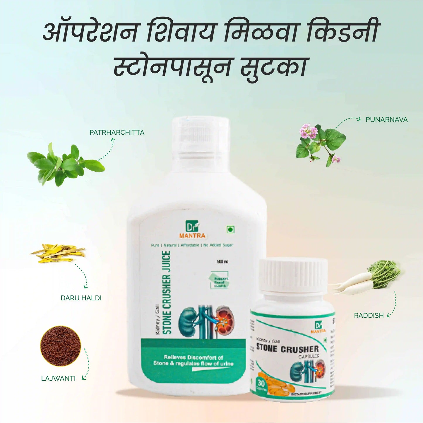 किडनी स्टोन क्रशर ज्यूस (फ्री डायट चार्ट व आयुर्वेदा एक्स्पर्ट कन्सल्टेशन)