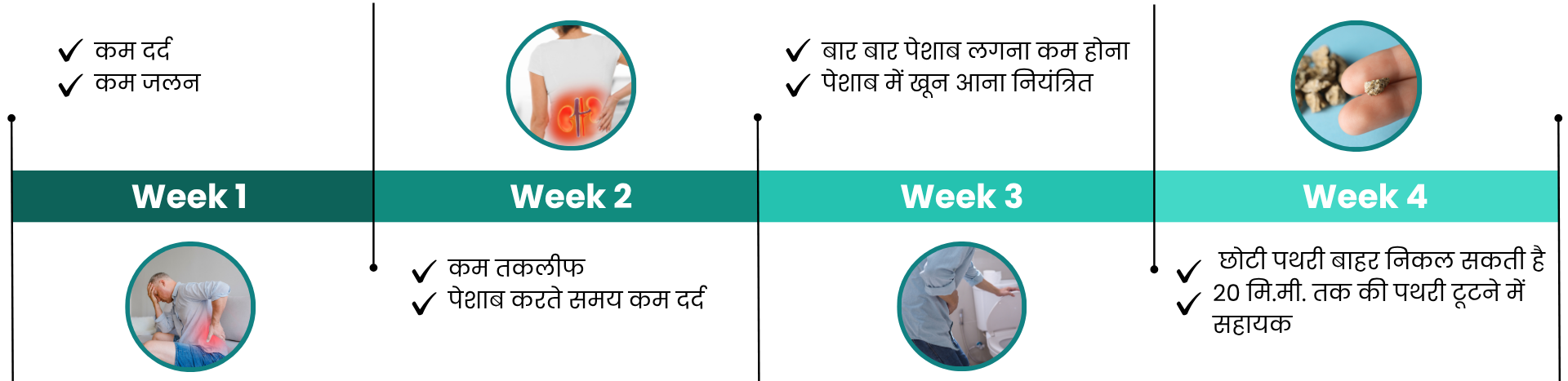 Liver Detox Desktop Image